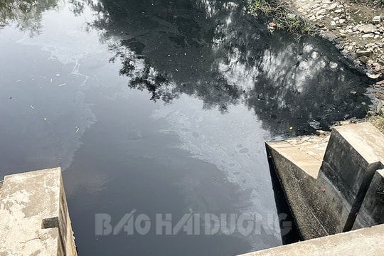 Khẩn trương khắc phục ô nhiễm nguồn nước hệ thống thuỷ lợi Bắc Hưng Hải