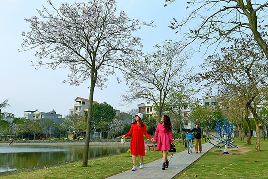 [Photos] Colorful March flowers in Hai Duong city
