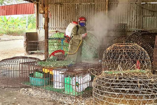 Hải Dương cấp hơn 2.800 lít hóa chất khử trùng môi trường