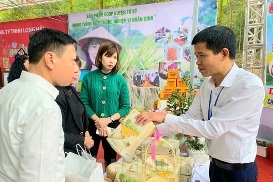 Mở rộng diện tích lúa theo hướng hữu cơ
