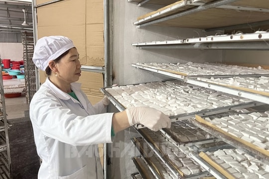 HTX Nông sản sạch Thành Nhàn đổi mới sản xuất, kinh doanh
