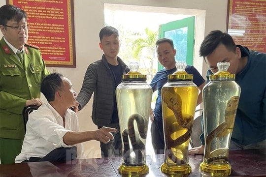 Khởi tố đối tượng bán động vật nguy cấp quý hiếm