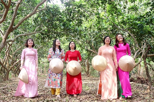 Dịu dàng hoa bưởi tháng ba