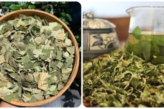 Những người không nên uống nước lá sen