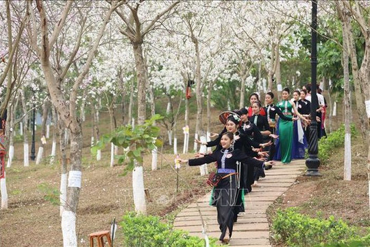 Đắm mình trong vòng xòe sáng tạo tại Lễ hội "Mùa hoa Ban"