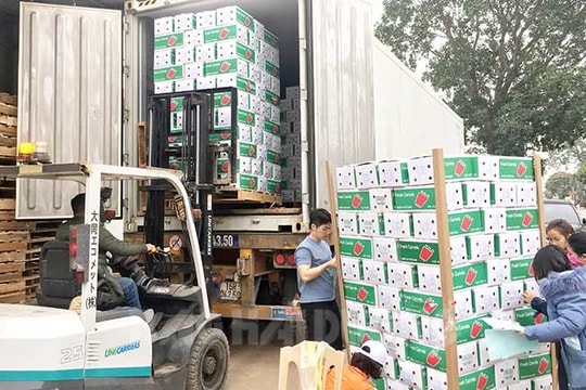 Đổi mới sản xuất  nông nghiệp ở Đức Chính