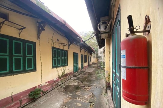 "Hãng phim truyện Việt Nam đổ nát, thiệt thòi và đau xót cho nghệ sĩ"