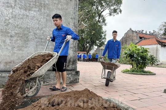 Tuổi trẻ Hải Dương hưởng ứng Ngày "Chủ nhật xanh"