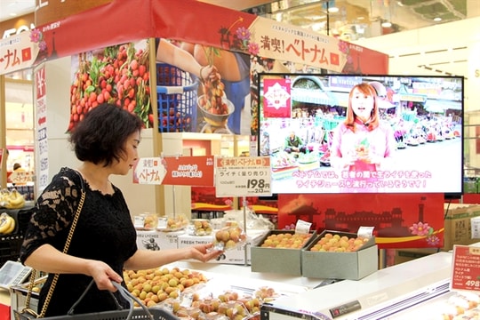 Opportunities for Vietnamese goods in foreign supermarkets