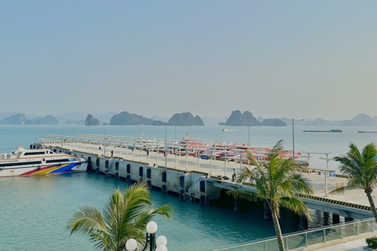 Quảng Ninh sẽ khai thác 2 tuyến du lịch mới trên vịnh Bái Tử Long