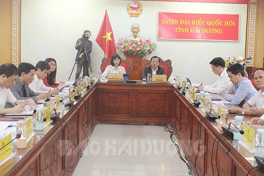 Đại biểu Nguyễn Thị Việt Nga (Hải Dương) chất vấn về án lệ 