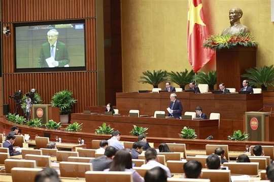 Không có vùng cấm trong xử lý cán bộ tòa án vi phạm