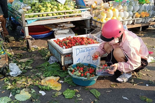 Đua nhau phù phép dâu tây