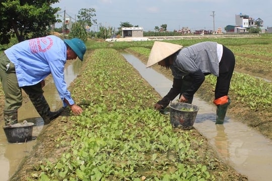 Hải Dương phấn đấu năm nay tỷ lệ hộ nghèo giảm còn 1,6%