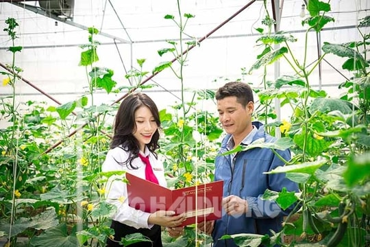 Agribank Hải Dương - 35 năm vì nông dân, nông thôn