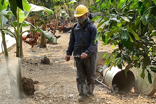 Gia Lộc phun khử trùng các điểm công cộng, chợ buôn bán gia súc, gia cầm