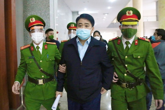 Ông Nguyễn Đức Chung cho người đang trốn nợ trồng cây xanh ở Hà Nội