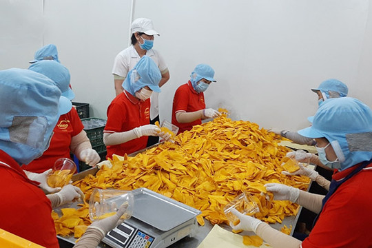 Quý I.2023, thu nhập bình quân của người lao động tăng 578.000 đồng/tháng