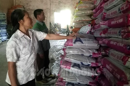 [Audio] "Chóng mặt" vì giá vật tư nông nghiệp