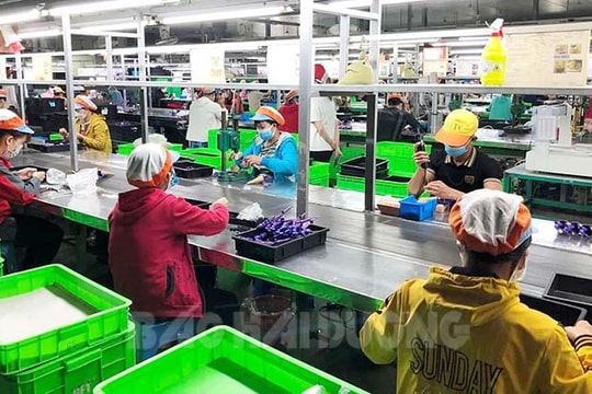Cụm công nghiệp Kỳ Sơn ở Tứ Kỳ thu hút nhiều doanh nghiệp nhất