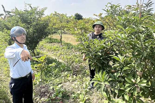 Tiến độ giải phóng mặt bằng khu công nghiệp Kim Thành chậm