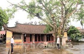 Đẩy mạnh cấp giấy chứng nhận quyền sử dụng đất cho cơ sở tôn giáo