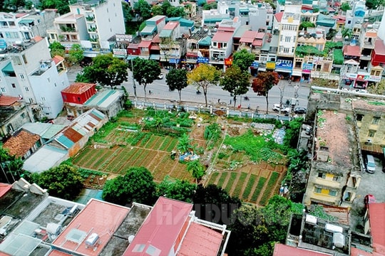 Lãng phí  khu đất “vàng” đường Thống Nhất
