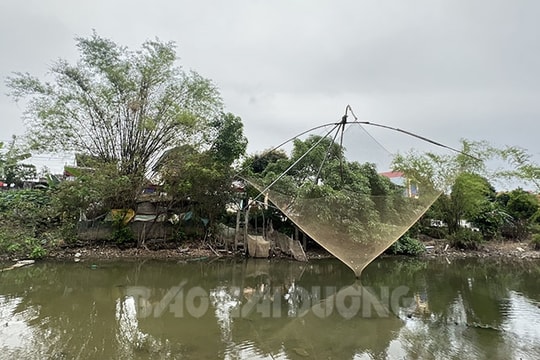 Lưu giữ  những luỹ tre làng̣