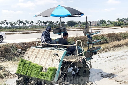 Hải Dương phát động đợt thi đua đặc biệt chào mừng Đại hội Hội Nông dân các cấp