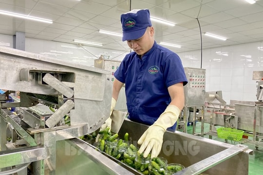 Vinh Hoa – commune with most OCOP products in Hai Duong