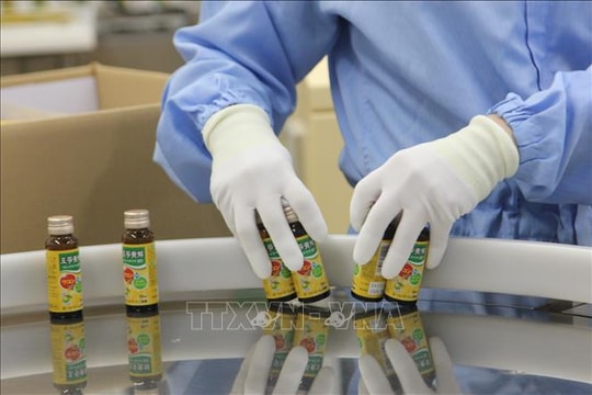 Thiết lập chế độ tuyển dụng lao động Việt Nam sang Nhật Bản theo chuẩn quốc tế