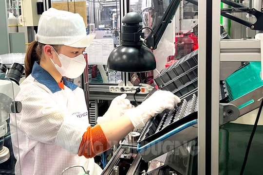 Hai Duong's economy flourishes