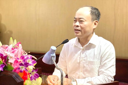 Bach Dang pedestrian, night market zone to have dragon, unicorn, turtle, phoenix sections