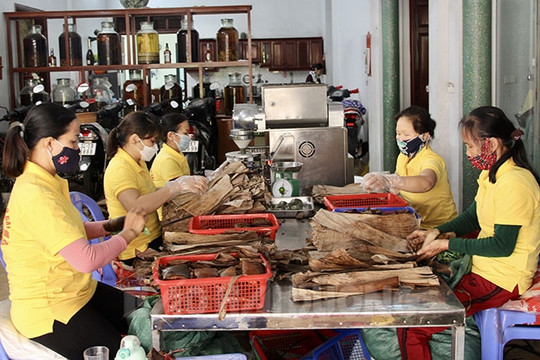 [Video] Nức tiếng bánh gai Bà Thanh Tới