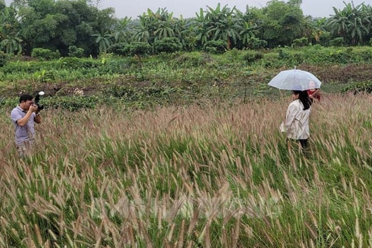 Hai Duong to kick off cultural, tourism beauty photo contest