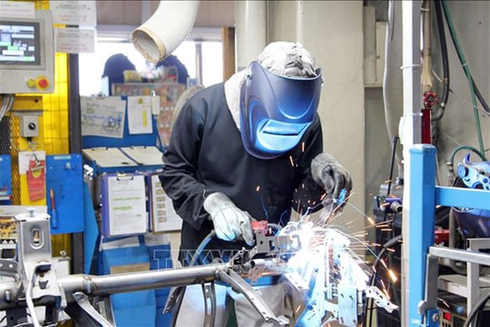 Nhật Bản xem xét điều chỉnh chương trình thực tập sinh nước ngoài
