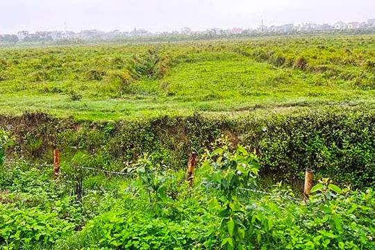 72 dự án đầu tư ngoài khu công nghiệp tại Hải Dương chậm tiến độ
