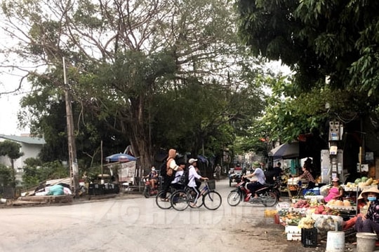 Chậm đưa chợ Phú Lộc mới vào sử dụng