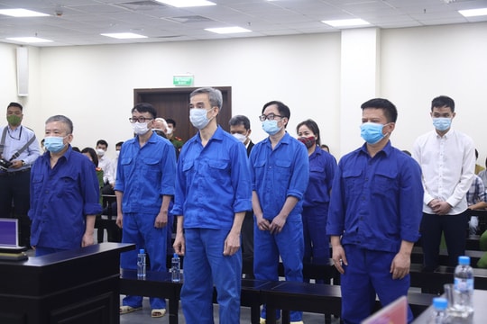 Ông Nguyễn Quang Tuấn nhận chỉ định thầu sai nhưng "không còn cách nào khác"