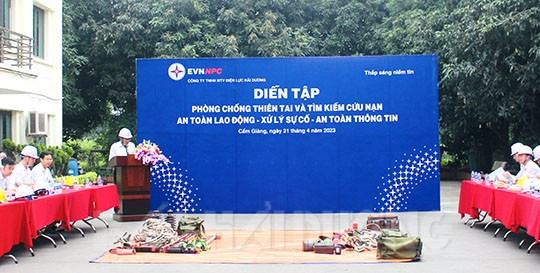 Ứng phó sự cố điện do thiên tai