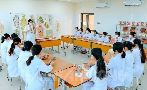 Điểm sàn xét tuyển của Trường Đại học Kỹ thuật y tế Hải Dương dựa vào thi đánh giá năng lực từ 100