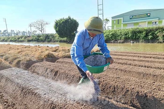 Nhiều hoạt động gây ô nhiễm môi trường nông thôn