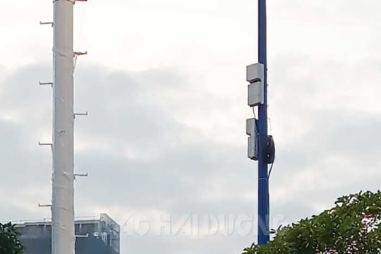 Phát wifi miễn phí tại phố đi bộ, chợ đêm Bạch Đằng