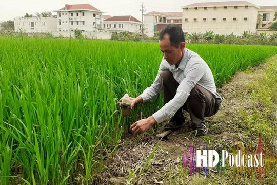 Khi Bí thư Chi bộ, Trưởng khu là "khắc tinh" của chuột