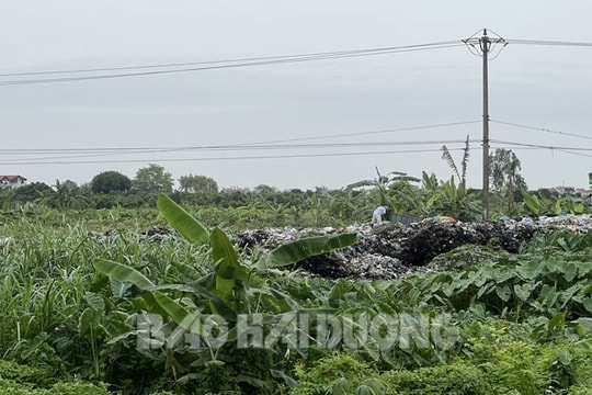 Xã Quang Minh khắc phục xong tình trạng ô nhiễm tại bãi rác thôn Đông Hào