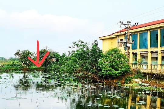 Nguy hiểm khi ngồi câu cá dưới đường dây điện