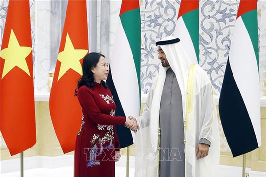 Phó Chủ tịch nước Võ Thị Ánh Xuân hội kiến Tổng thống UAE