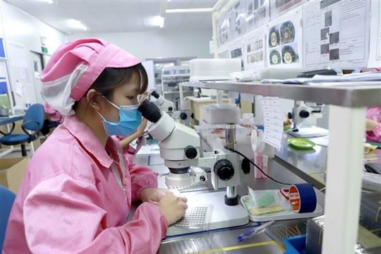 Vietnam sees improvements in FDI attraction: Investor