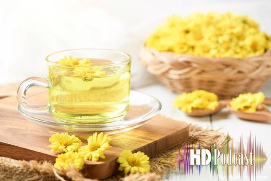 Thưởng trà hoa cúc Côn Sơn