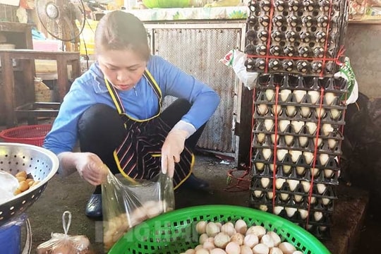 Nguồn cung tăng cao, giá trứng gia cầm giảm